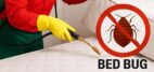 UAE BugBusters